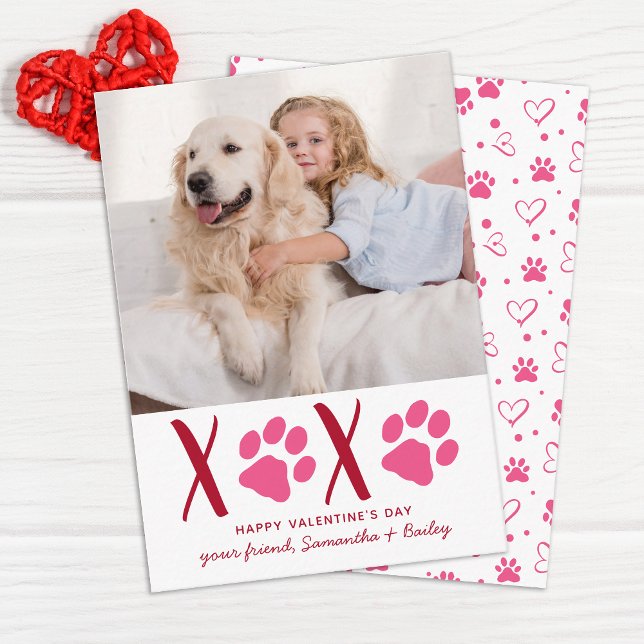 Valentines Day XOXO Cute Kids Classroom Dog Photo  Card (Creator Uploaded)