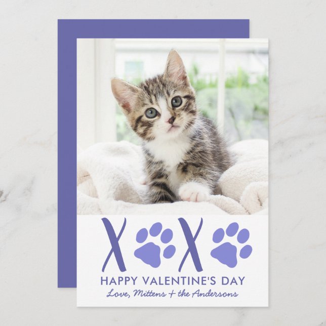 Valentines Day XOXO Cute Kitten Cat Pet Photo Holiday Card (Front/Back)