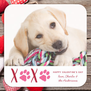 Valentines Day XOXO Cute Pet Puppy Dog Photo Square Sticker