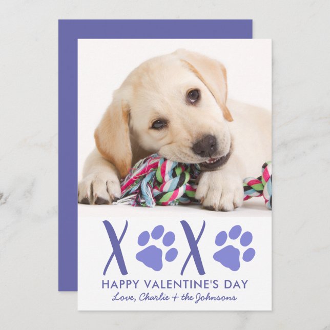 Valentines Day XOXO Cute Puppy Dog Pet Photo Holiday Card (Front/Back)