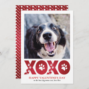 Valentines Day XOXO Pet Dog Photo Holiday Card