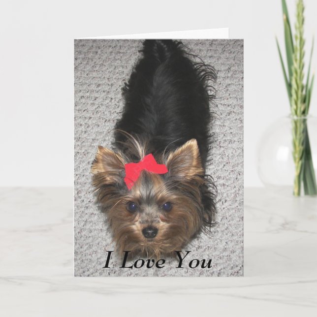 Valentines Day- Yorkie I love you Holiday Card (Front)