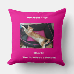 Valentine's Ginger Cat Photo Fun Cushion