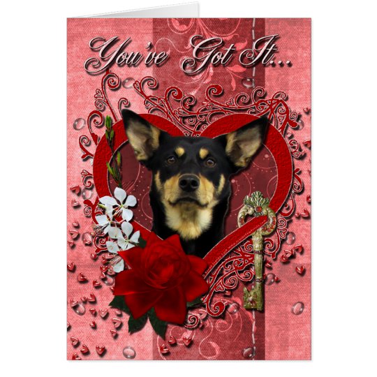 Valentines - Key to My Heart - Australian Kelpie Card