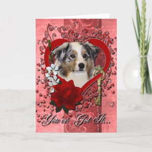 Valentines - Key to My Heart - Australian Shepherd Holiday Card