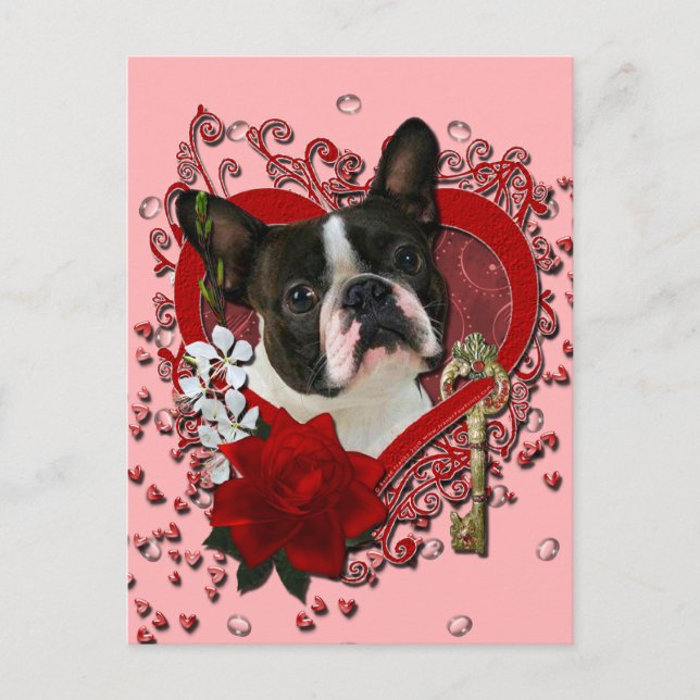 Valentines - Key to My Heart - Boston Terrier Holiday Postcard (Front)