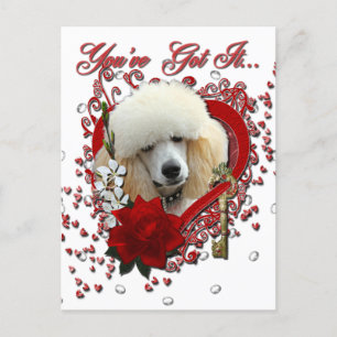 Valentines - Key to My Heart - Poodle - Apricot Holiday Postcard