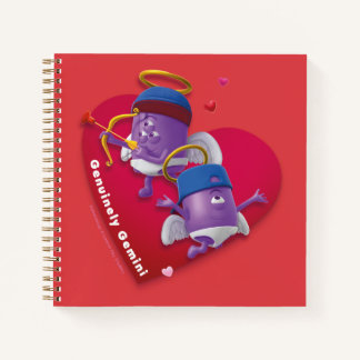 Valentine's Notebook for Gemini