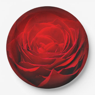 Valentine's Paper Plate-Stunning Painted Red Rose Paper Plate