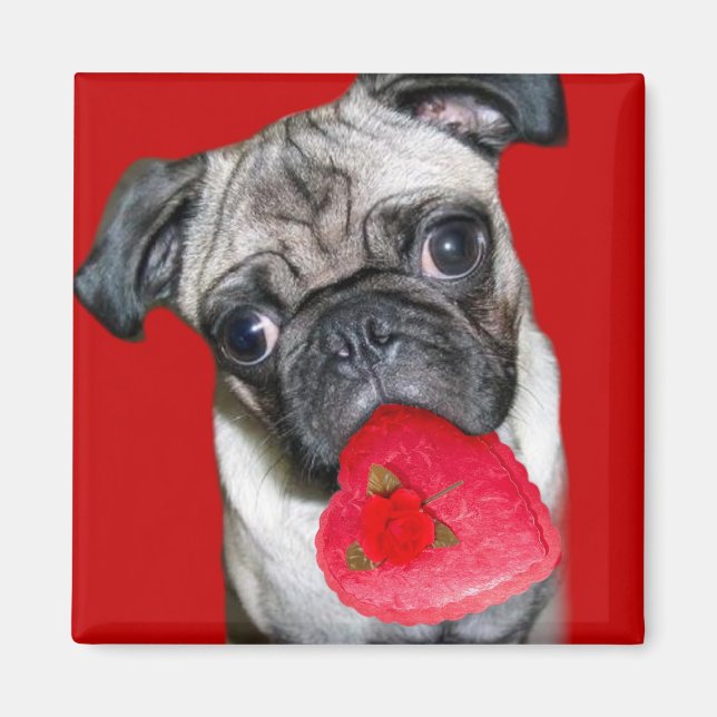 Valentines pug magnet (Front)