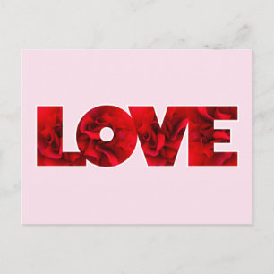 Valentines Red Rose petals LOVE text Holiday Postcard