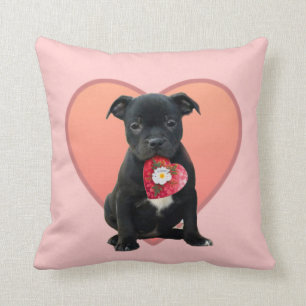 Valentine's Staffordshire bull terrier puppy Cushion