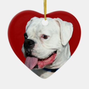 Valentine's White Boxer dog ornament