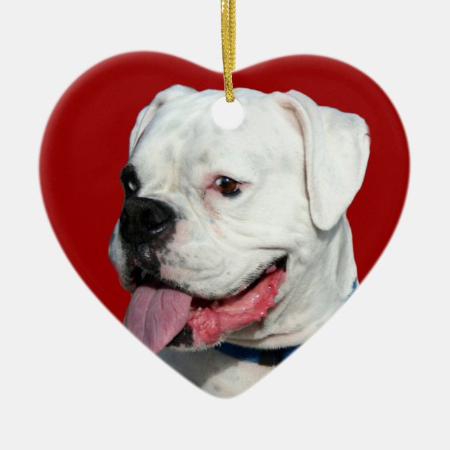 Valentine's White Boxer dog ornament (Front)