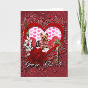 Valentines - Yorkie - Pixie Holiday Card