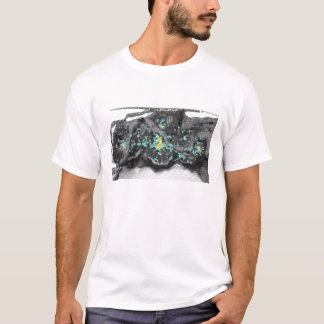 Valhalla Heatmap T-Shirt