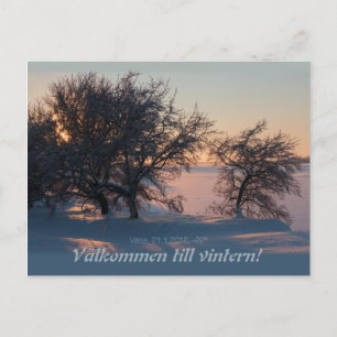 Välkommen till vintern! Vasa Vaasa Finland CC0828 Postcard
