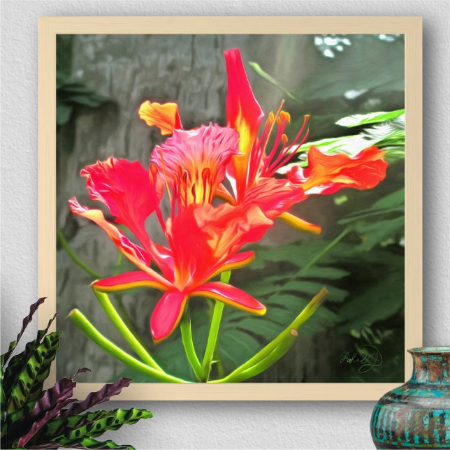 Vallarta Flaming Beauty 1583 Art Print (Creator Uploaded)