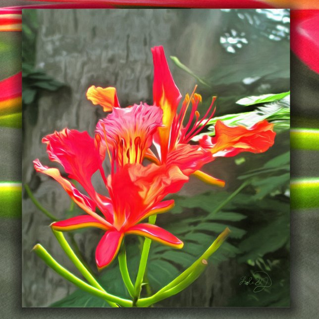 Vallarta Flaming Beauty 1583 Original Art Print (Creator Uploaded)