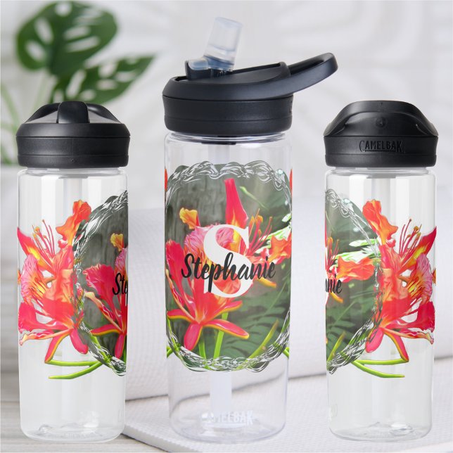 Vallarta Flaming Beauty 1583 Water Bottle (Creator Uploaded)