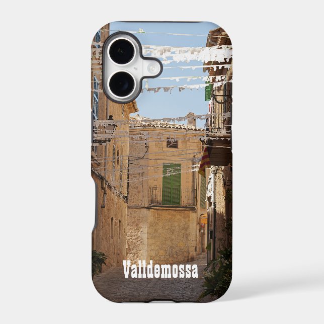 Valldemossa Case (Back)