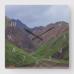 Valley At Denali's Toklat River Square Wall Clock