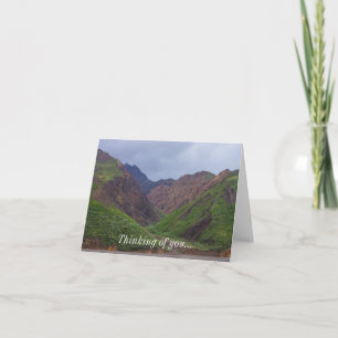 Valley At Denali's Toklat River Thinking Of You Card