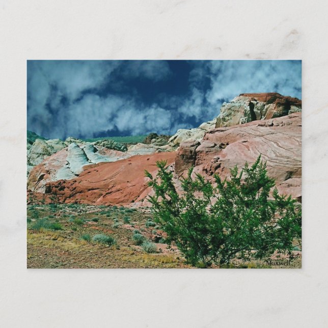 Valley of Fire State Park, Nevada, Postcard (Front)
