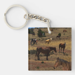 Valley Of The Horses, Key Ring