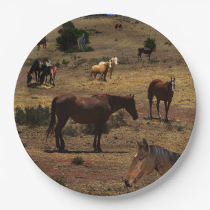 Valley Of The Horses, Paper Plate