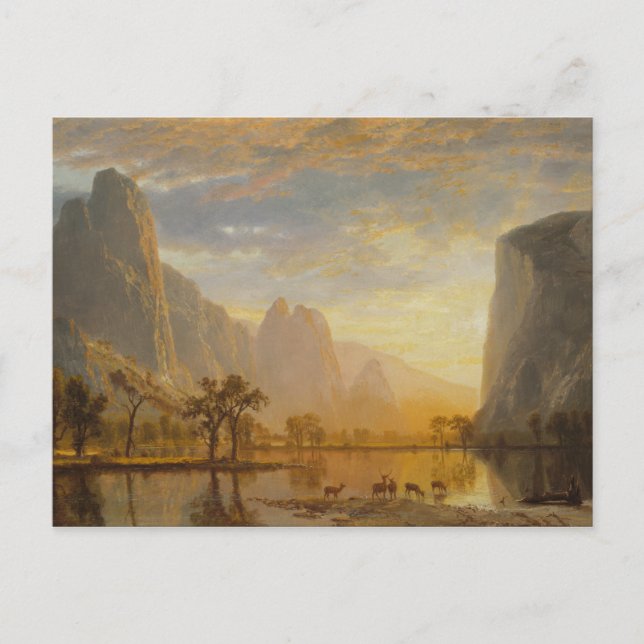 Valley of the Yosemite Postcard (Front)