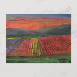 Valley of Tulips Postcard