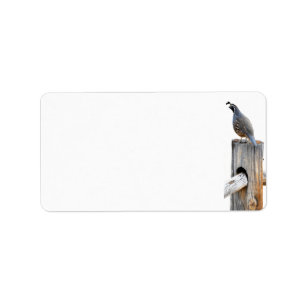 Valley Quail Photo Stationery Address Label