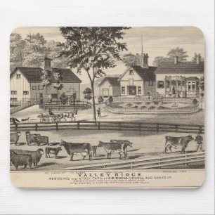 Valley Ridge and Buell residences Mouse Pad