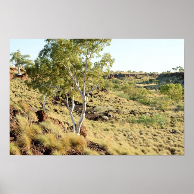 Valley Views Poster (Front)