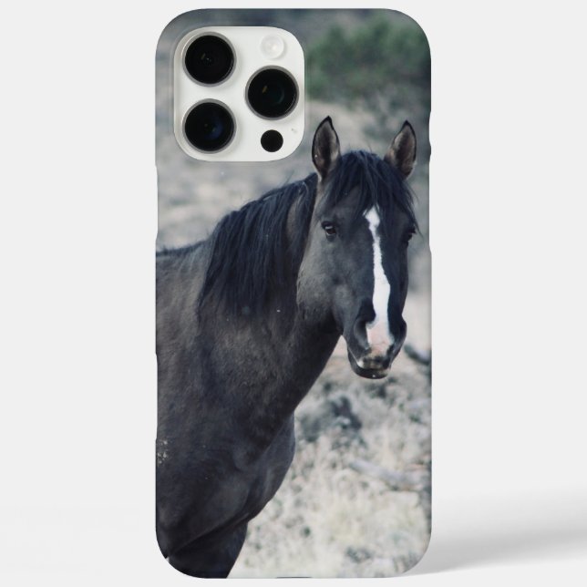 Valour Case-Mate iPhone Case (Back)