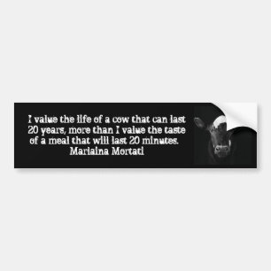 Values Black Cow Bumper Sticker