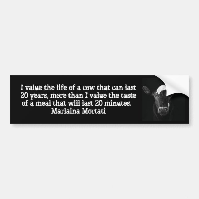 Values Black Cow Bumper Sticker (Front)