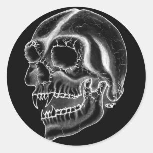Vampir skull black and white design classic round sticker
