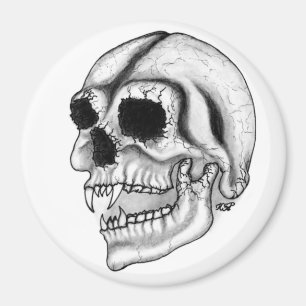 Vampir skull black and white design magnet