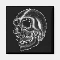 Vampir skull black and white design