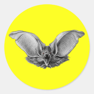 Vampire ? Bat ? Classic Round Sticker
