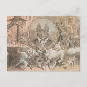 Vampire Bat Portrait Postcard