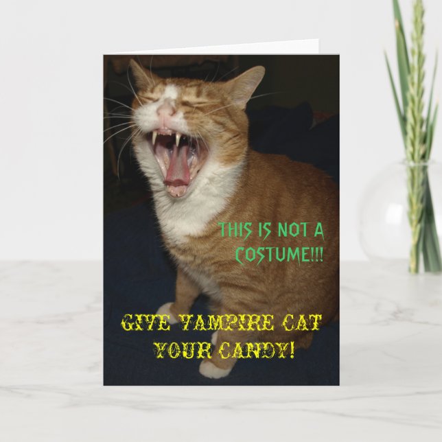 Vampire Cat Card (Front)