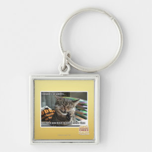 vampire cat smiles key ring