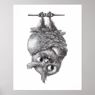 Vampire Owl Cool and Scary Poster