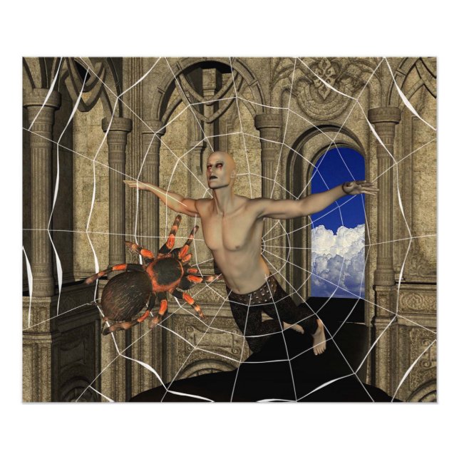 Vampire Spiders Web Photo Print (Front)