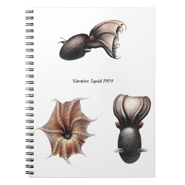 Vampire Squid Notebook (Front)