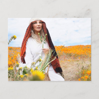 Vamplified Poppy Gardens Postcard