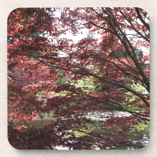 Van Dusen Garden, Japanese Maple Coaster (Front)